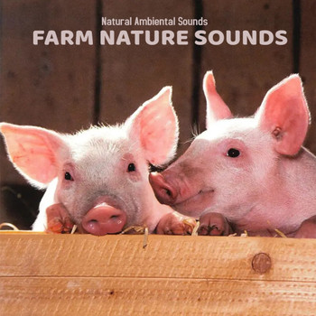 Nature Ambient Sounds Farm Nature Sounds 自然环境农场动物叫声音效