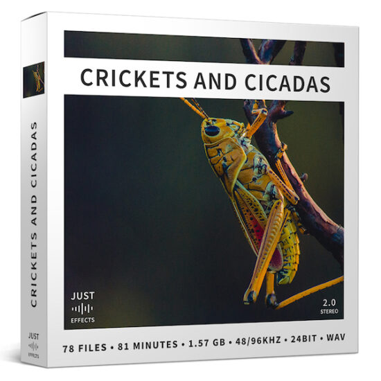 东南亚丛林蟋蟀蝉鸣蚱蜢昆虫叫声音效包 Just Sound Effects – Crickets and Cicadas-后期素材库